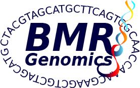 <div class='Sponsor-link'><a href='http://www.bmr-genomics.it/' target='_blank'>link</a></div>